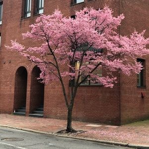 Meet your Posher, Tay